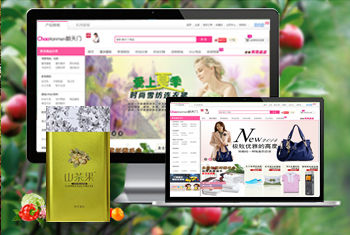 ̩���������̳�