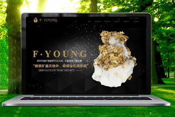 ̩���������ﱦʯ